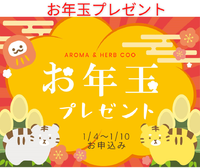 お年玉プレゼント♪