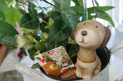 自分のもやもやした何かを はっきりさせたい時は 自分のもやもやした何かを はっきりさせたい時は