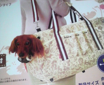 ♪♪~買いました~♪♪