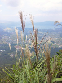 秋の開門岳
