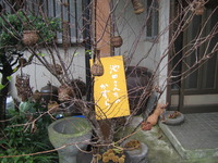 南阿蘇村谷人たちの美術館にも行きました！
