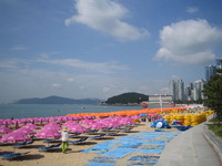 釜山行き♪