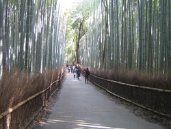 念願のながめ！