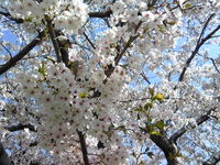 平成公園