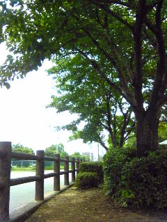 平成二丁目公園から~