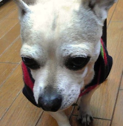 またね～♪