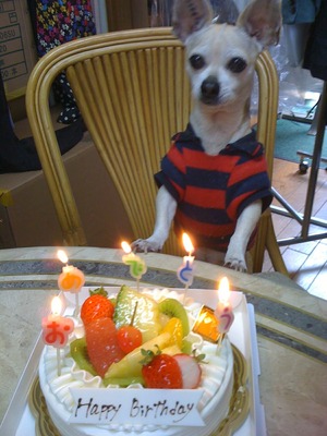 HAPPY BIRTHDAY!!