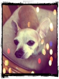 tono