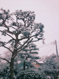 新潟～♪
