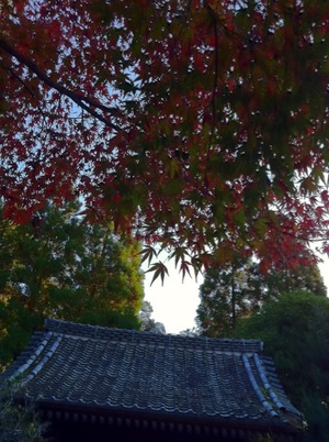紅葉がきれい♪