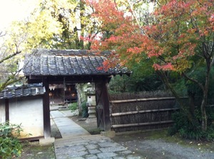 紅葉がきれい♪