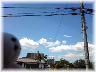バトル！！完