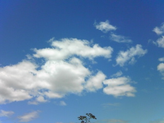 夏空♪