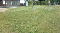 公園へ～♪