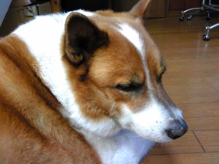 キャンペーン期間中です
