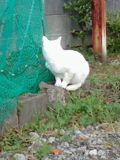 何を見てたの。