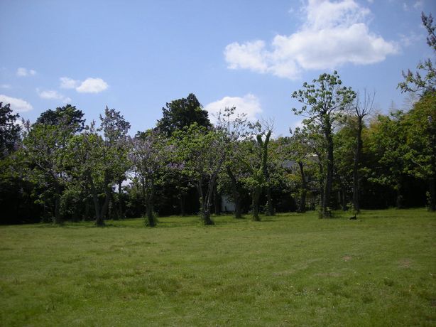 この季節 新緑と・・・