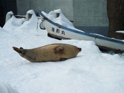 ROUGE in 北海道