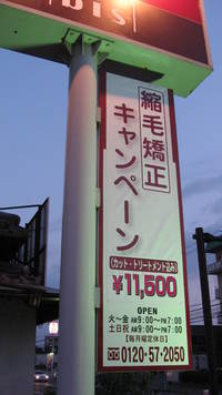 キャンペーン!!!