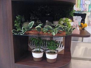 緑の楽園
