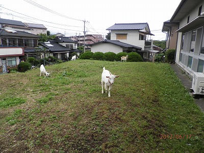きゃーたす 池田店 ④