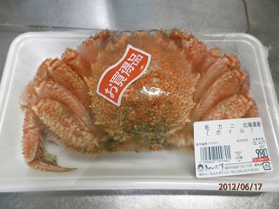 きゃーたす 池田店 ④
