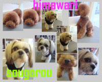 2008＊そうkun＆ひいchan