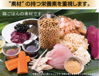ドットわん鶏ごはん