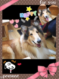 素直が一番！ 2014/06/19 23:41:14