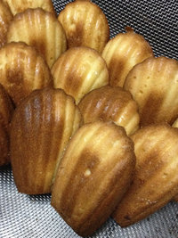 熊本のカフェ珈琲市場【新作焼き菓子蜂蜜レモンマドレーヌ】 2013/09/28 12:13:37
