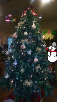 珈琲市場のクリスマスツリー♪ 2013/11/30 00:16:21