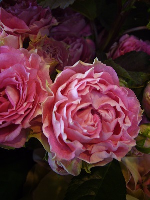 お誕生日の花束