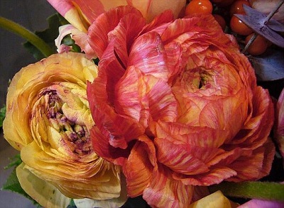 複色の花