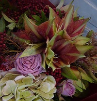 アマリリスで秋の花束 2013/10/19 20:02:05