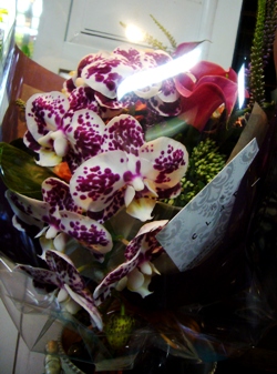 ブラックダイヤモンドの花束