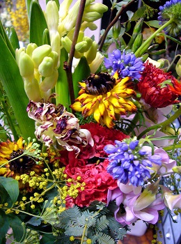 モロッコの花束