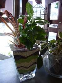 レインボーサンドで寄せ植え