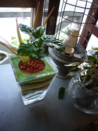 レインボーサンドで寄せ植え
