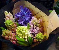 ヒヤシンスの花束 2015/02/07 18:32:18