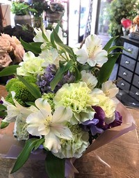 春らしく 2019/01/26 18:41:35