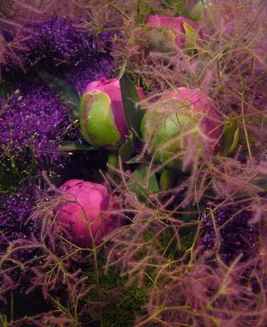 スモークツリーの花束