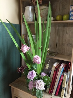 4月レッスン１回目