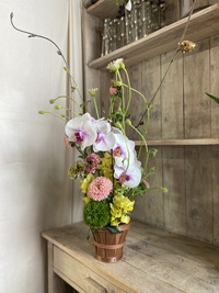 4月のレッスンと藤の花