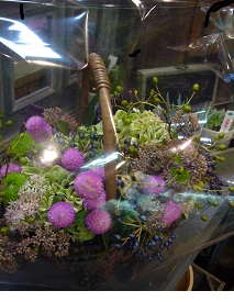 野の花バスケット