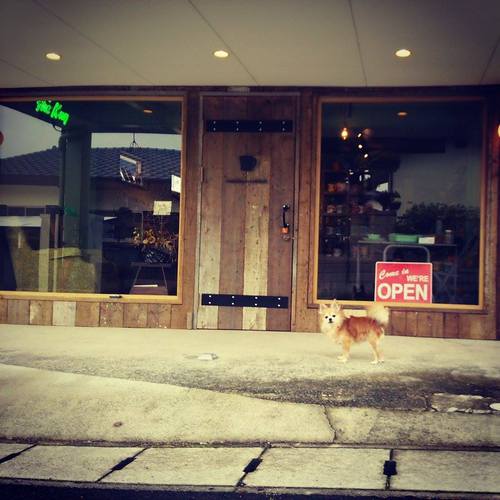 熊本のファイヤーキング専門店 クローバークローバー 熊本のファイヤーキング専門店 クローバークローバー