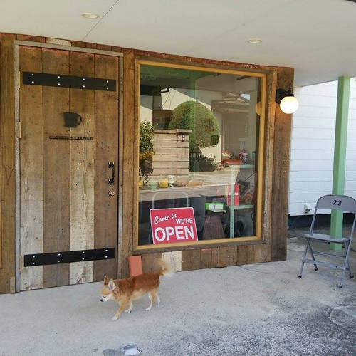 明日から店舗前スペースの改装工事を行います!☆月曜は営業、火曜・水曜は店休日☆ 明日から店舗前スペースの改装工事を行います!☆月曜は営業、火曜・水曜は店休日☆