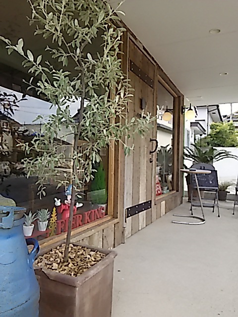 当店、緑が追加されました!! 当店、緑が追加されました!!