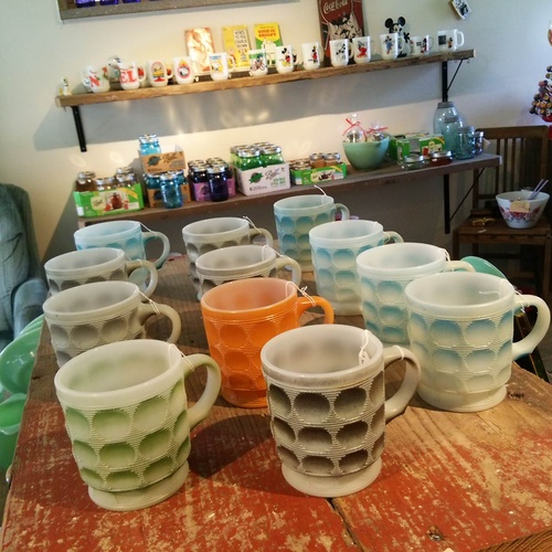 希少で可愛い!人気のキャメロット!入荷しています! 希少で可愛い!人気のキャメロット!入荷しています!