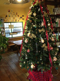 熊本のカフェ珈琲市場【クリスマスイベント第2弾ビックツリー】 2012/11/24 12:18:30