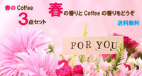 熊本のカフェ珈琲市場【春の送料無料Coffeeセット】 2013/04/01 17:29:47